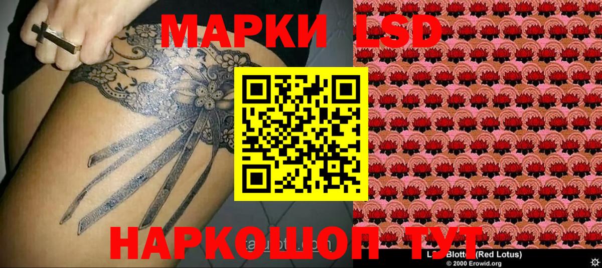 Марки 25I-NBOMe 1500мкг  где купить наркоту  Братск  Вход с VPN  Марки 25I-NBOMe 1500мкг 