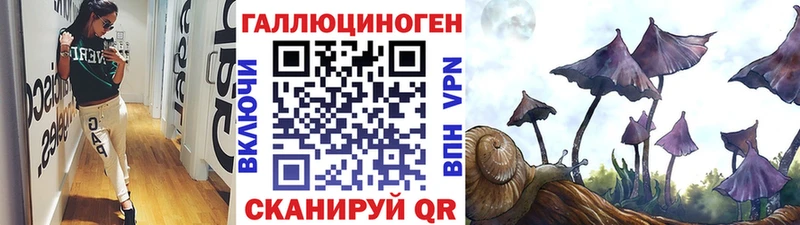 Галлюциногенные грибы GOLDEN TEACHER  Купить закладки  Братск 
