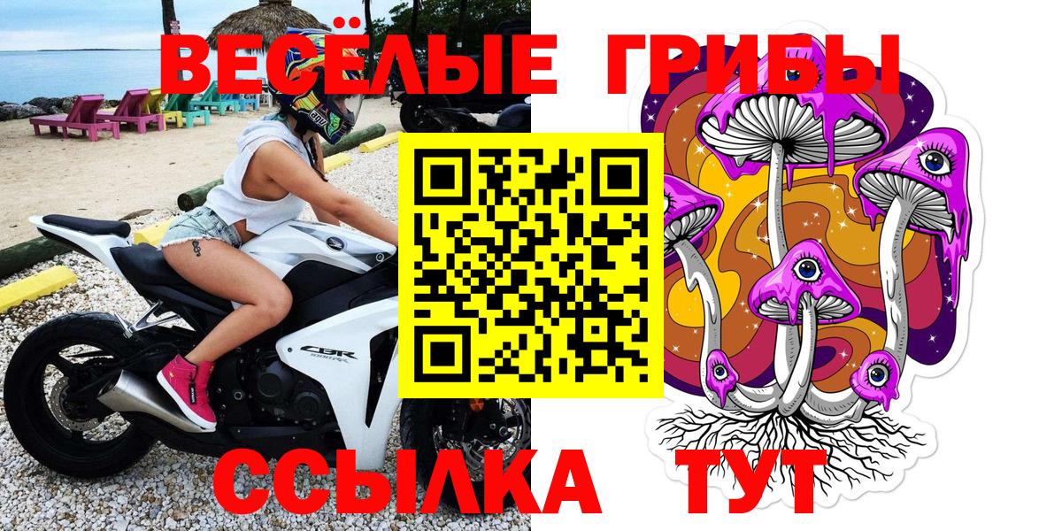 Галлюциногенные грибы мицелий  Братск 