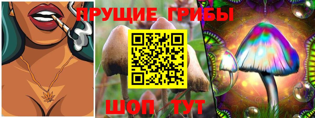 Псилоцибиновые грибы GOLDEN TEACHER Братск