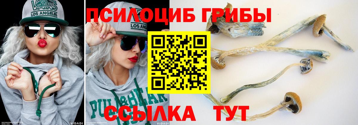 Галлюциногенные грибы мицелий  Вход с VPN  Братск 